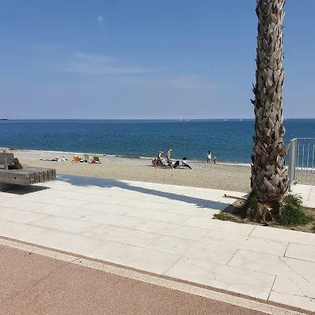 Mare